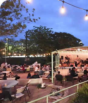 Live Music